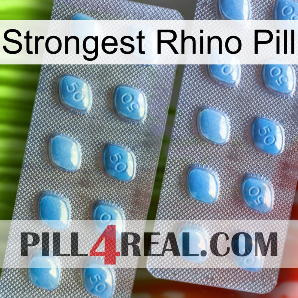 Strongest Rhino Pill viagra4.jpg